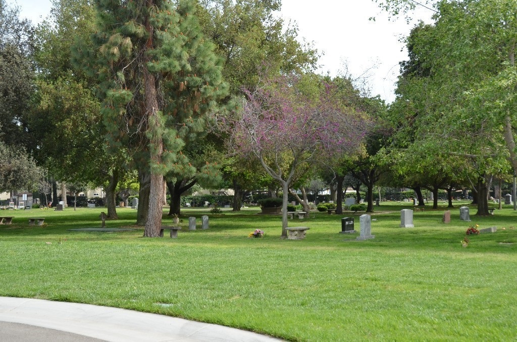 DSC_0807.jpg