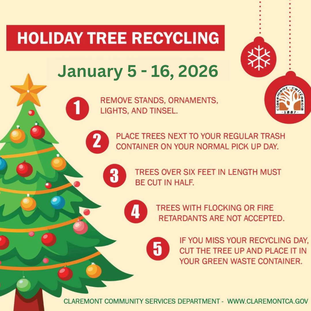 Tree Recycling.png