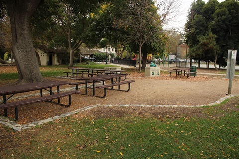 Memor-picnic2-4.jpg